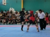 p1100550.jpg