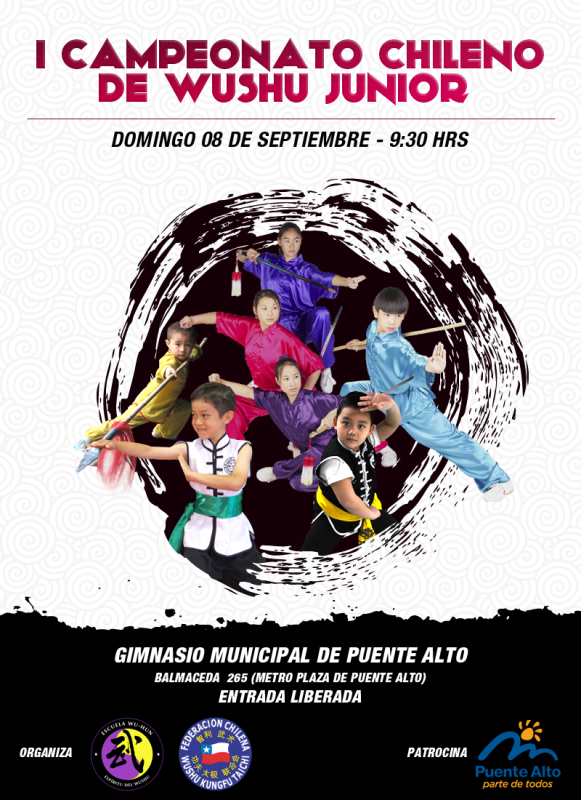 afiche-wushu-ok